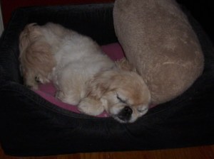 Ming-Lee 2000 - 2016